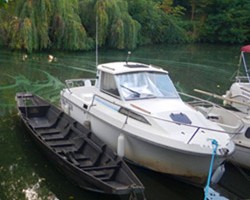 cyanobactérie-bateau-250x250