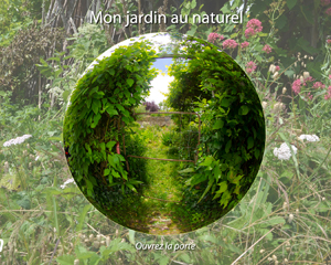 AC-JA_jardin-virtuel-300x240