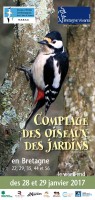 visuel-depliant-oiseaux-des-jardins-2017