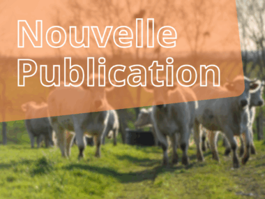 Vignettes articles site internet (2)