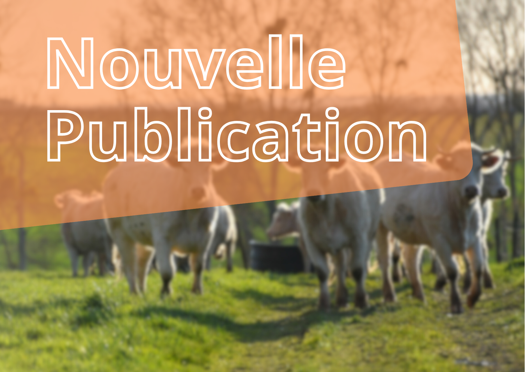 Vignettes articles site internet (2)