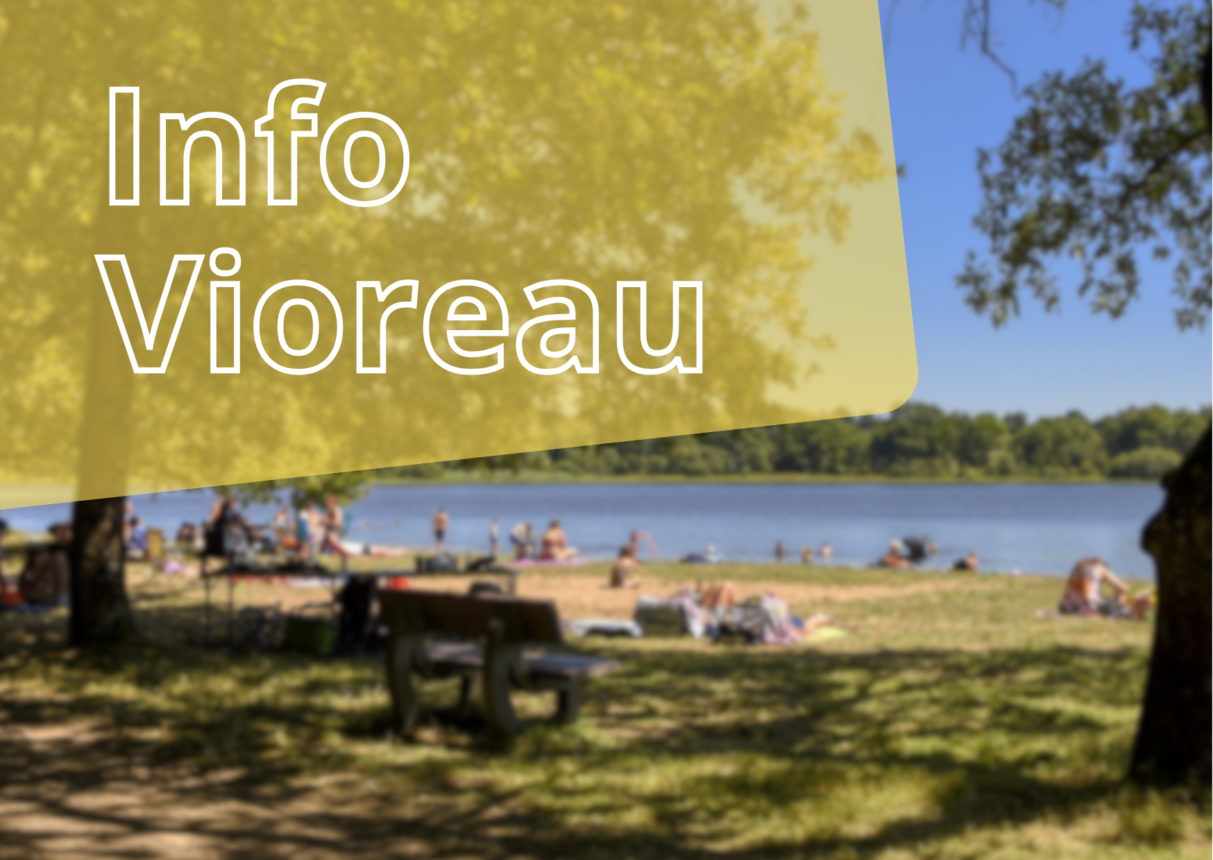 Vignettes articles site internet (3)