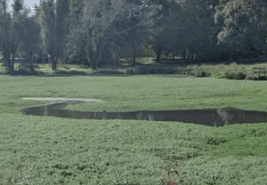 Reunion d’information Espèces invasives – Carquefou