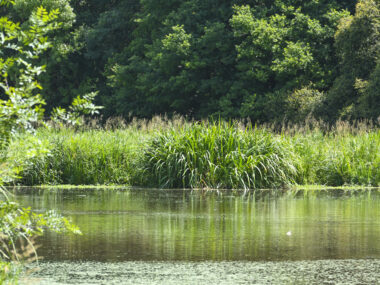 2025_Vallon-Verdier_Zone4_Crédit_Delphine-Lethu_pour_Edenn (1)