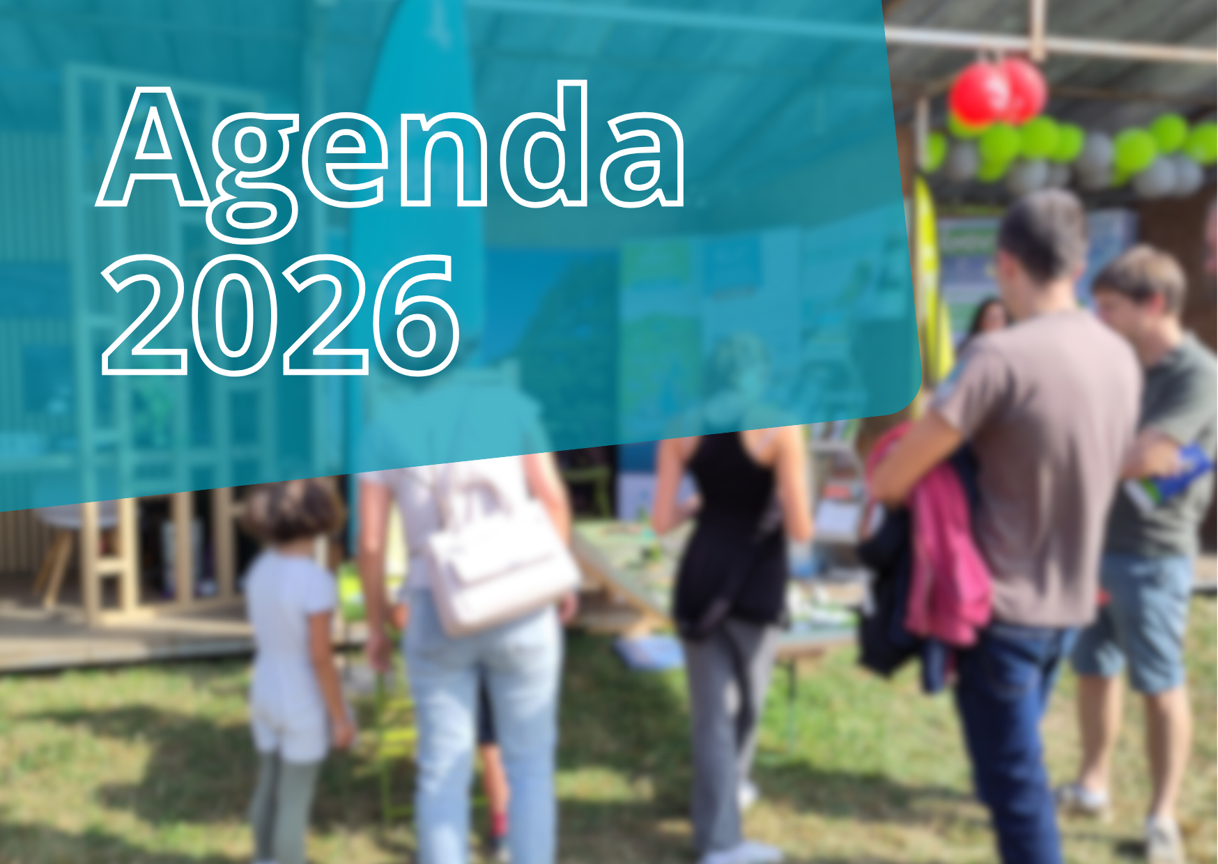 Vignettes articles site internet (5)