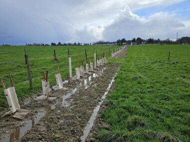 Plantation haie_programmeEdenn_Crédit_Edenn