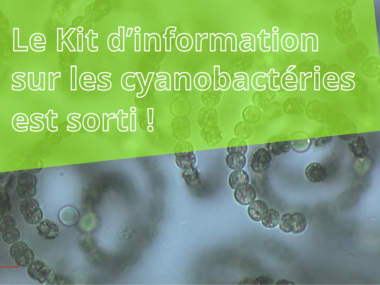 Vignette kit cyano_Edenn
