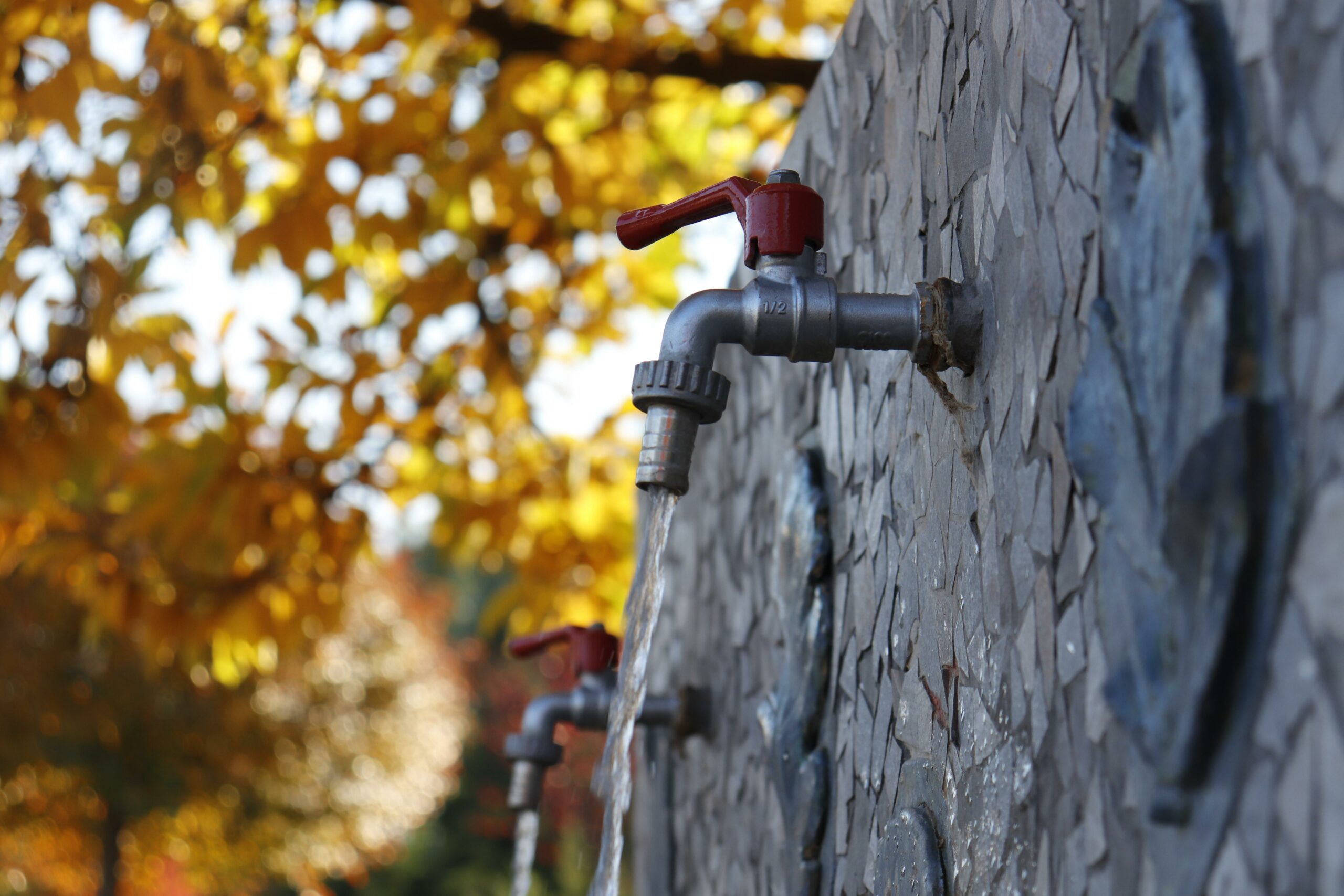 infotimisoara-drinking-water-6757623