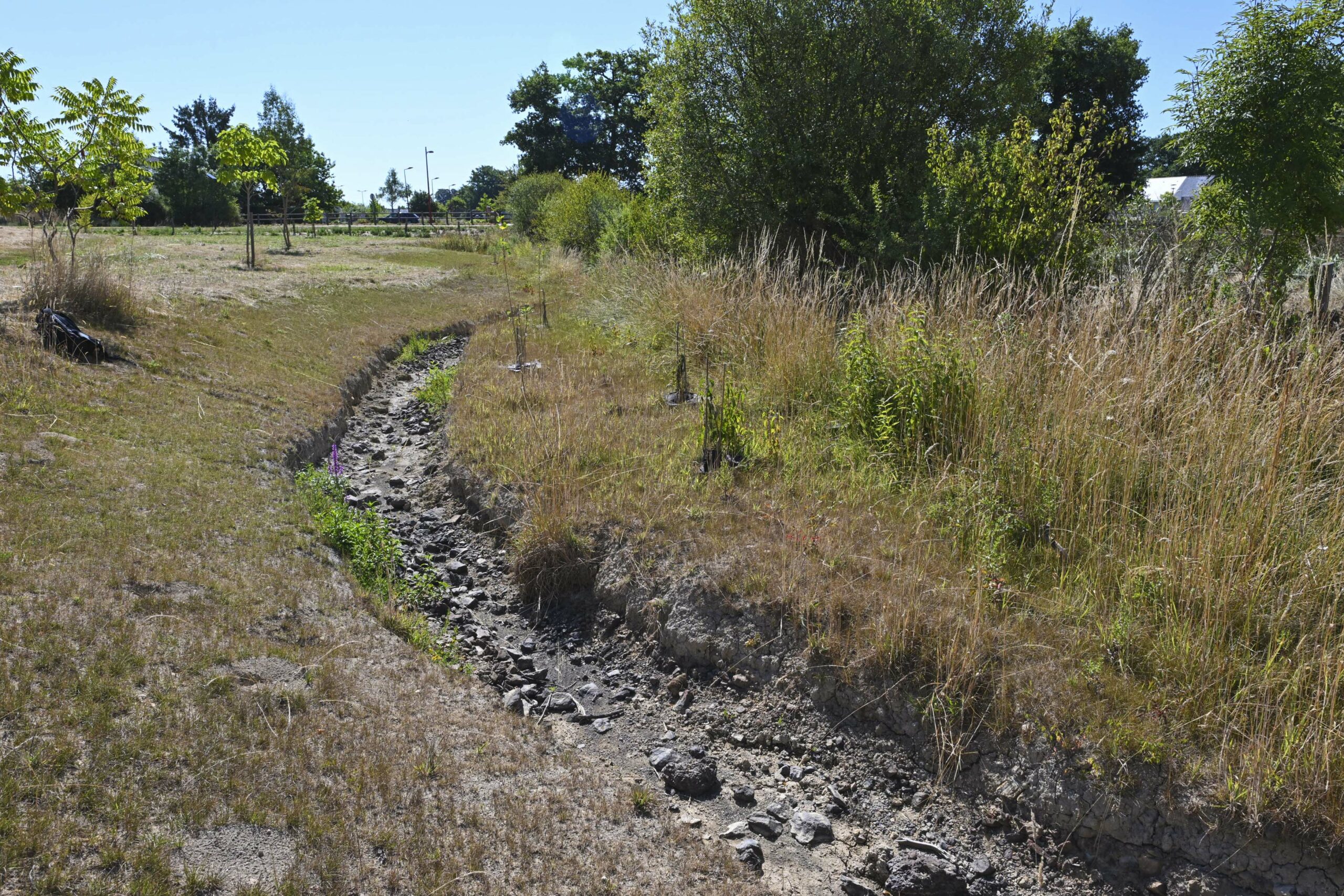 hydrologie regénérative – garder l&rsquo;eau dans les paysages